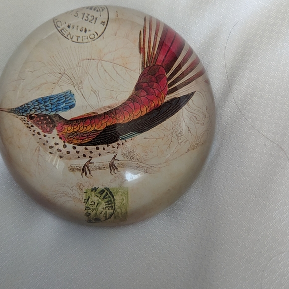 Pair of glass dome shaped paper weights. Pheasant like Bird graphics. - Picture 3 of 8